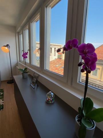 Mandi Mandi Cavour Apartment Udine Bagian luar foto